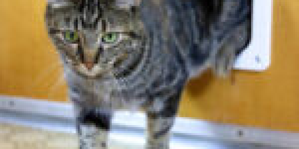 From Around The Web The 20 Most Amazing Infographics About Cat Flap Installation Service