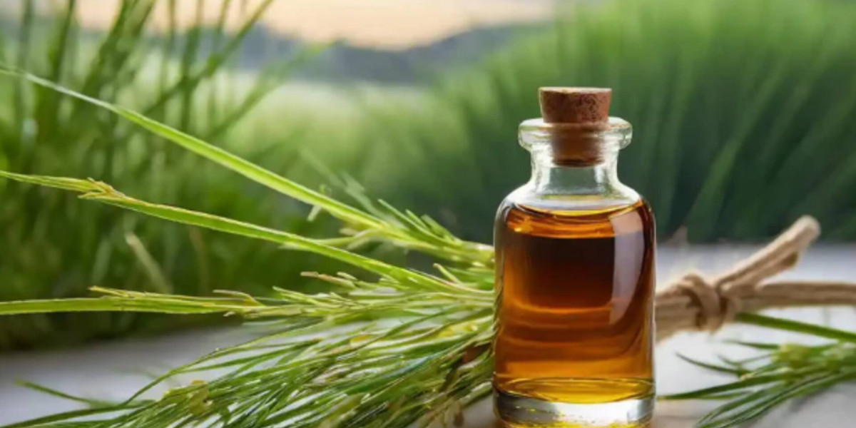 Vetiver Oil Market 2031: Growth Factors, Latest Rising Trends and Key Objectives